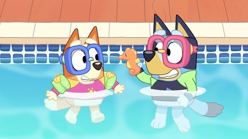 Bluey - S1E22: The Pool