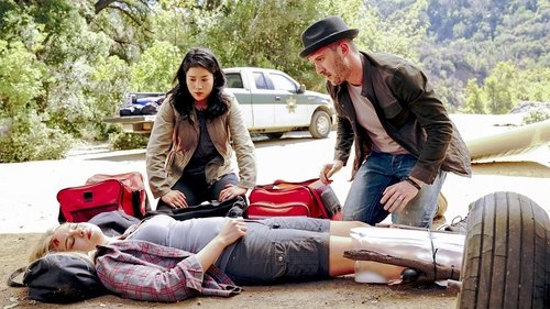 Scorpion - S4E10: Crime Every Mountain