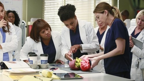Grey's Anatomy - S11E10: The Bed's Too Big Without You