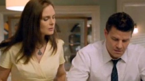 Bones - S8E16: The Friend in Need