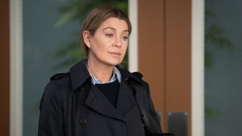 Grey's Anatomy - S20E10: Burn It Down