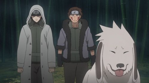 Naruto Shippūden - S20E498: Hidden Leaf Story, The Perfect Day for a Wedding, Part 5: The Last Mission