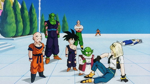 Dragon Ball Z - S6E27: Goku's Decision