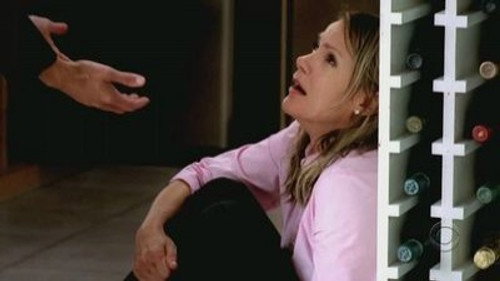 CSI: NY - S3E6: Open and Shut
