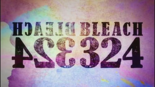 Bleach - S1E324: Recapture Seireitei! The Captains Move!