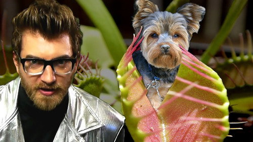 Good Mythical Morning - S1E3: Dog-Eating Plants