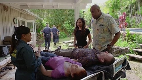Hawaii Five-0 - S8E25: Waiho wale kahiko (Ancients Exposed)