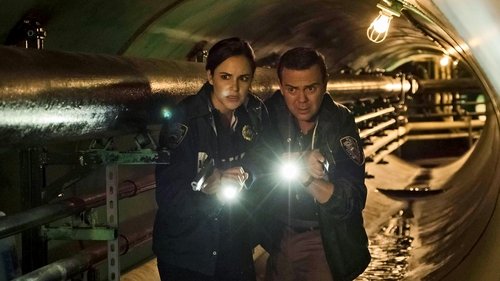 Brooklyn Nine-Nine - S4E11: The Fugitive (1)