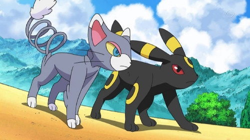 Pokémon - S12E34: Strategy Begins at Home!