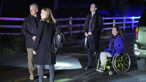 NCIS - S13E17: After Hours