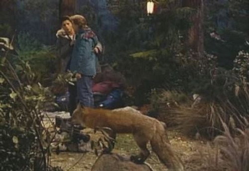 Full House - S4E12: Danny in Charge