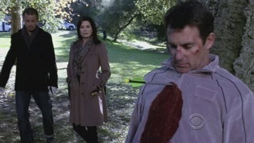 CSI: NY - S8E13: The Ripple Effect