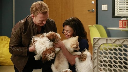 Grey's Anatomy - S12E14: Odd Man Out