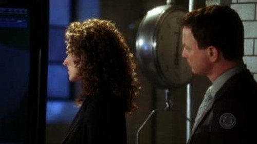 CSI: NY - S1E16: Hush