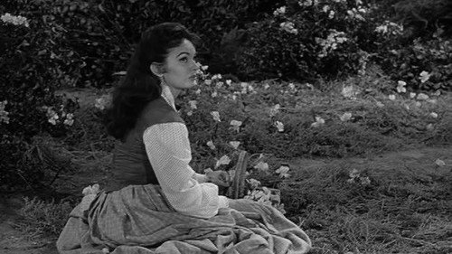 Wagon Train - S3E6: The Martha Barham Story