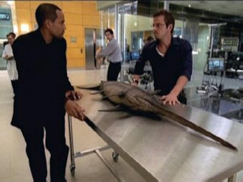 CSI: NY - S2E5: Dancing With The Fishes