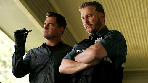 CSI: Crime Scene Investigation - S8E14: Drops Out