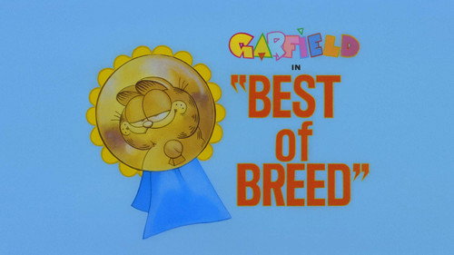 Garfield and Friends - S1E31: Best of Breed