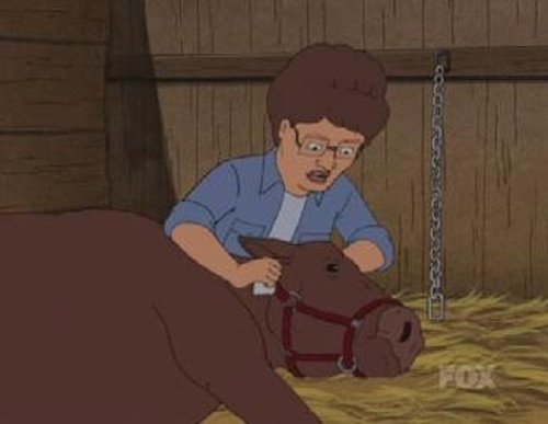 King of the Hill - S9E1: A Rover Runs Through It