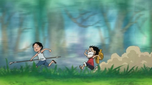 One Piece - S13E493: Luffy and Ace! The Story of How the Brothers Met!