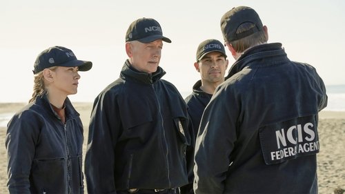 NCIS - S17E12: Flight Plan