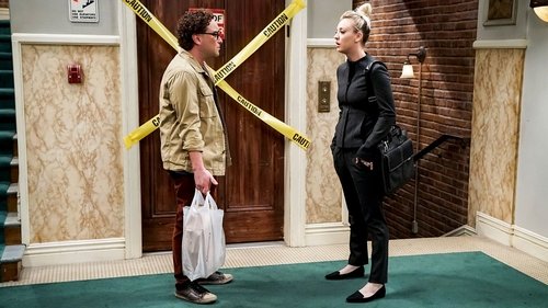 The Big Bang Theory - S12E9: The Citation Negation