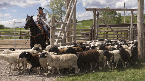 Heartland - S7E4: The Penny Drops