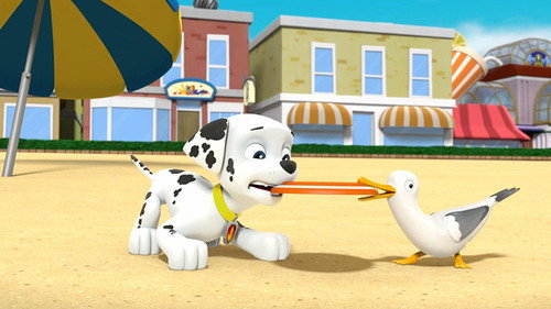 PAW Patrol - S3E41: Pups Save a Plane