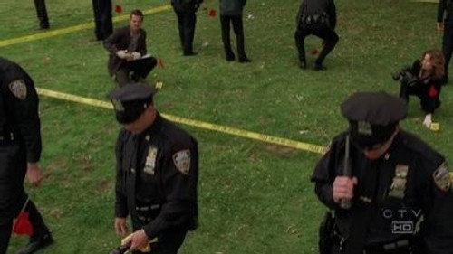 CSI: NY - S2E22: Stealing Home