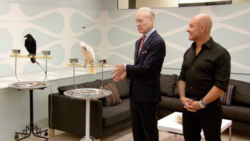 Project Runway - S9E11: This Is for the Birds