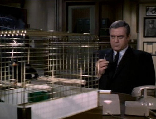 Ironside - S2E10: The Macabre Mr. Micawber