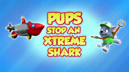 PAW Patrol - S8E32: Pups Stop an Xtreme Shark