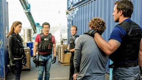 Hawaii Five-0 - S3E19: Hoa Pili (Close Friends)