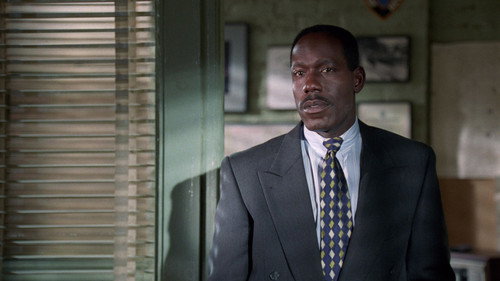 NYPD Blue - S5E13: Twin Petes