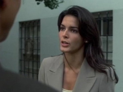 Law & Order - S9E9: True North