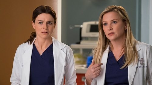 Grey's Anatomy - S14E23: Cold as Ice