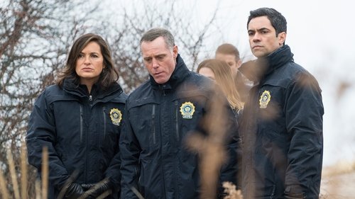 Law & Order: Special Victims Unit - S16E20: Daydream Believer (III)