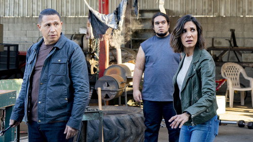 NCIS: Los Angeles - S12E9: A Fait Accompli