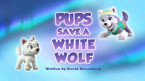 PAW Patrol - S6E37: Pups Save a White Wolf