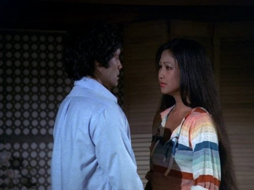 Hawaii Five-O - S11E6: A Distant Thunder
