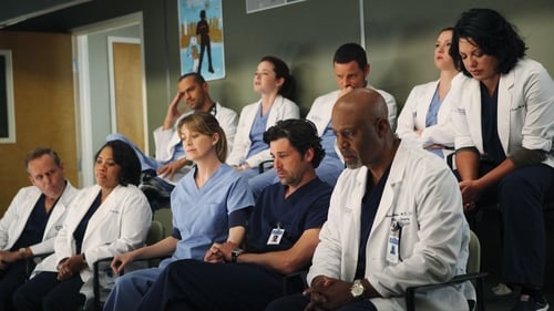 Grey's Anatomy - S7E11: Disarm