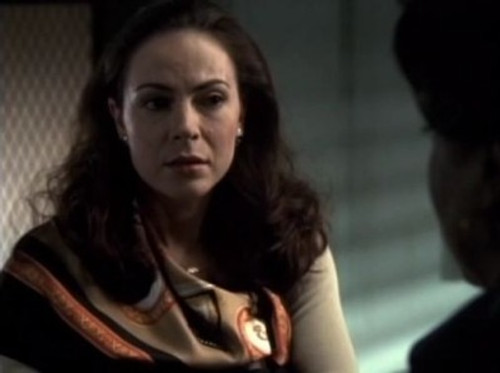 Law & Order - S9E23: Refuge (1)