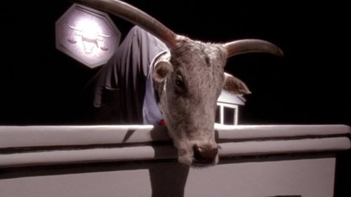 Malcolm in the Middle - S7E20: Cattle Court