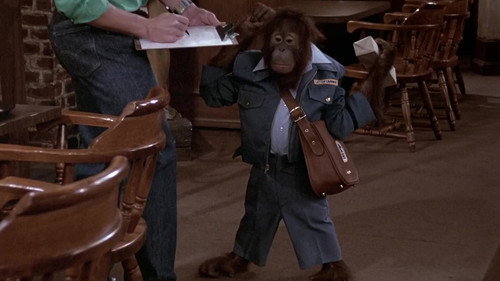 Cheers - S6E13: Woody for Hire meets Norman of the Apes