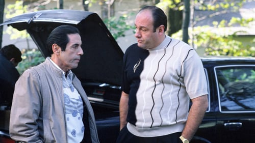 The Sopranos - S2E8: Full Leather Jacket