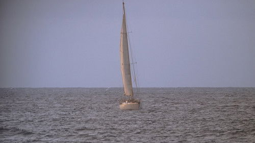 Lost - S2E22: Three Minutes
