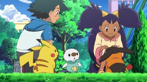 Pokémon - S14E4: The Battle Club and Tepig's Choice!