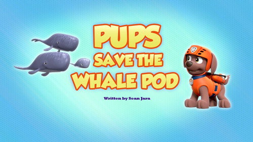 PAW Patrol - S7E36: Pups Save the Whale Pod