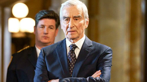 Law & Order - S22E22: Open Wounds