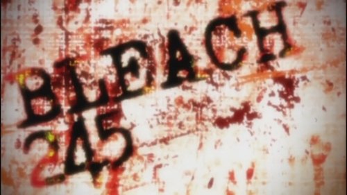Bleach - S1E245: Pursue Byakuya! The Confused Gotei Divisions